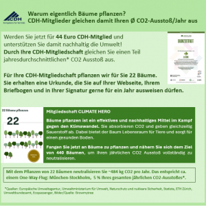 Climate Hero - unser Geschenk: Wir pflanzen für Sie 22 Bäume